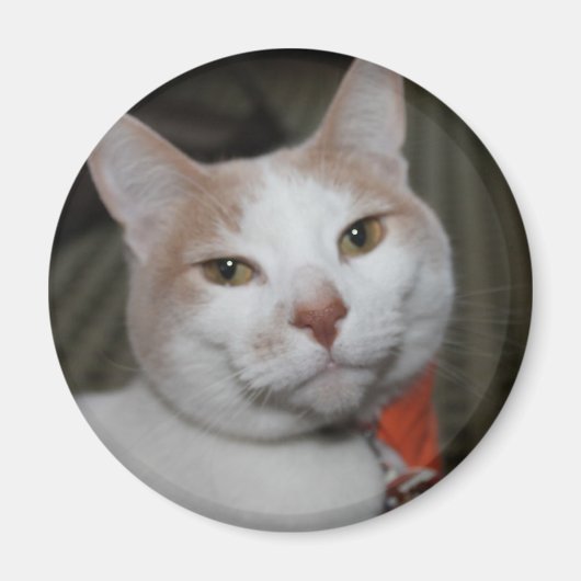 Mr Peabody. Magneet (Voorkant)