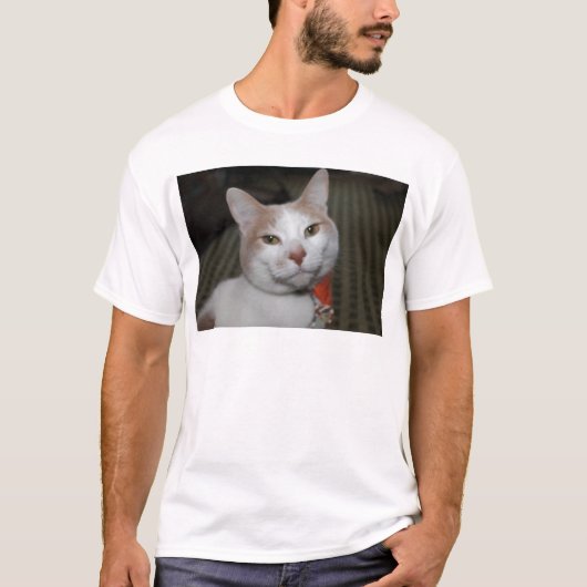 Mr Peabody. T-shirt (Voorkant)