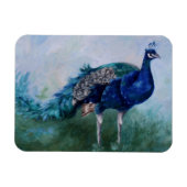 Mr Peacock Magneet (Horizontaal)