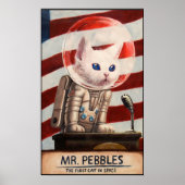 MR PEBBLES - Hoge kwaliteit Poster (Voorkant)