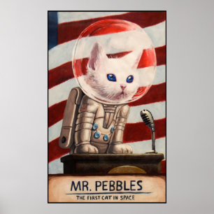 MR PEBBLES - Hoge kwaliteit Poster