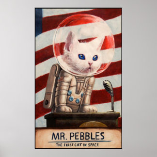 MR PEBBLES - Hoge kwaliteit Poster