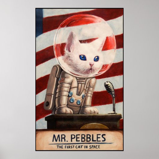 MR PEBBLES - Hoge kwaliteit Poster (Voorkant)