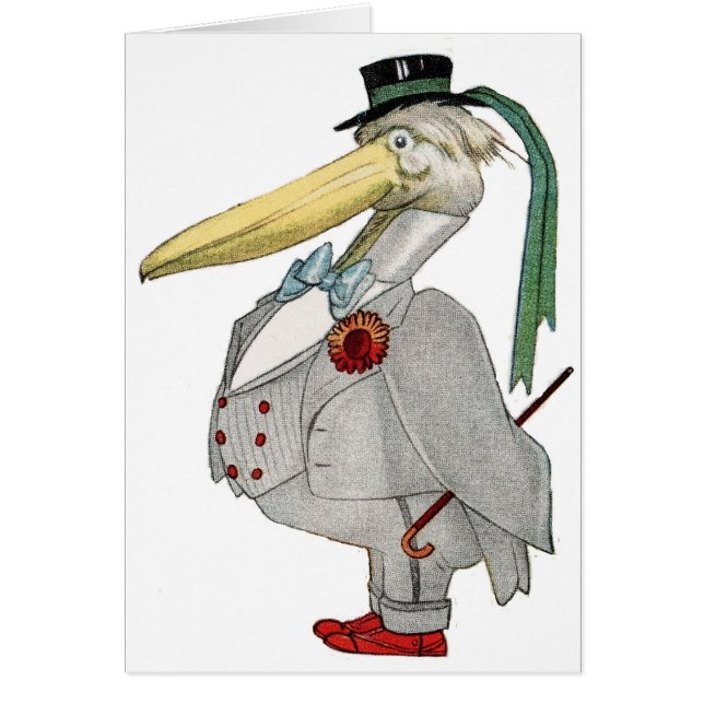 MR PELICAN (Voorkant)