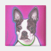 Mr Pickles de magneet (Voorkant)