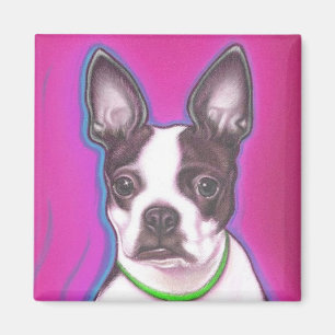 Mr Pickles de magneet