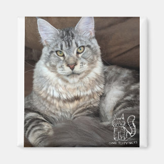 Mr. Puppy-Sokken magneet #4