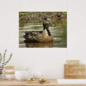 Mr. Quack Poster (Keuken)