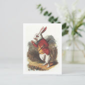 Mr Rabbit. Briefkaart (Staand voorkant)