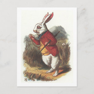 Mr Rabbit. Briefkaart