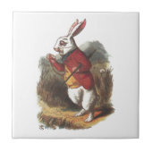 Mr Rabbit. Tegeltje (Voorkant)