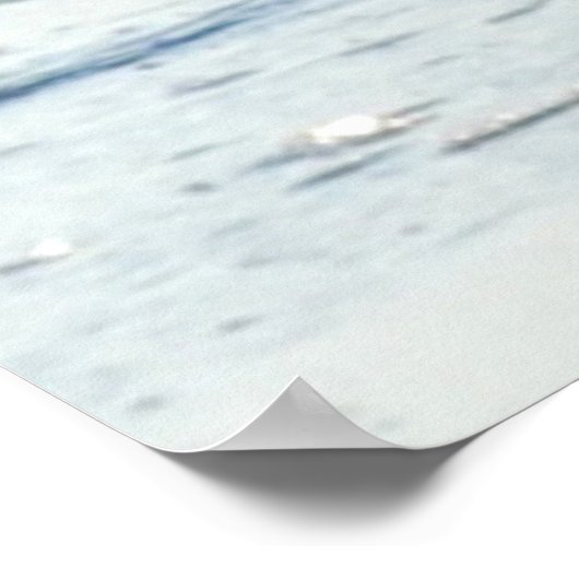 Mr Seagull Poster (Hoek)