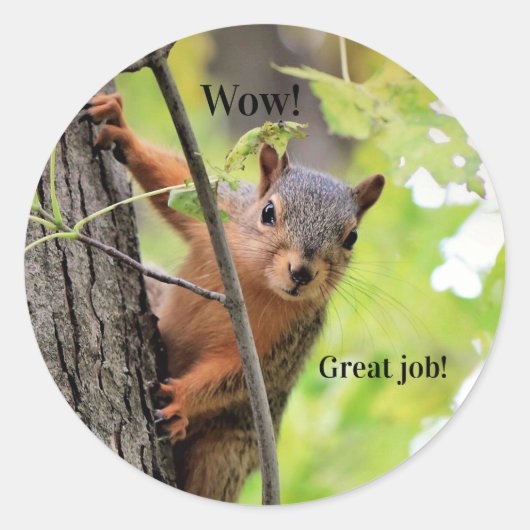 Mr Squirrel's geweldige job student Stickers (Voorkant)
