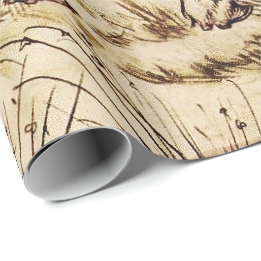 Mr Toad en de zigeuner van Arthur Rackham Cadeaupapier (Rol Hoek)