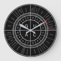 mRNA naar AMINOZUUR CODON WHEEL