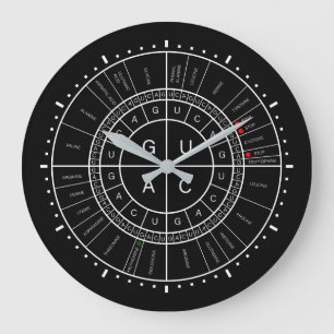 mRNA naar AMINOZUUR CODON WHEEL Grote Klok