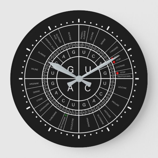 mRNA naar AMINOZUUR CODON WHEEL Grote Klok (Voorkant)