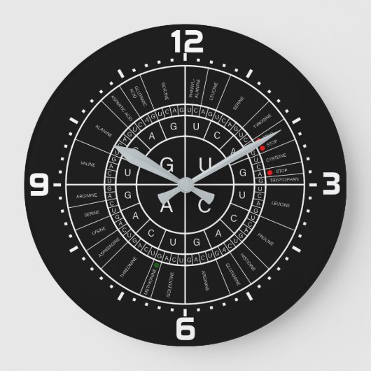 mRNA naar AMINOZUUR CODON WHEEL Grote Klok (Voorkant)