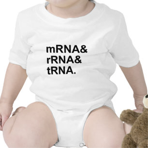mRNA rRNA tRNA   Soorten RNA Romper