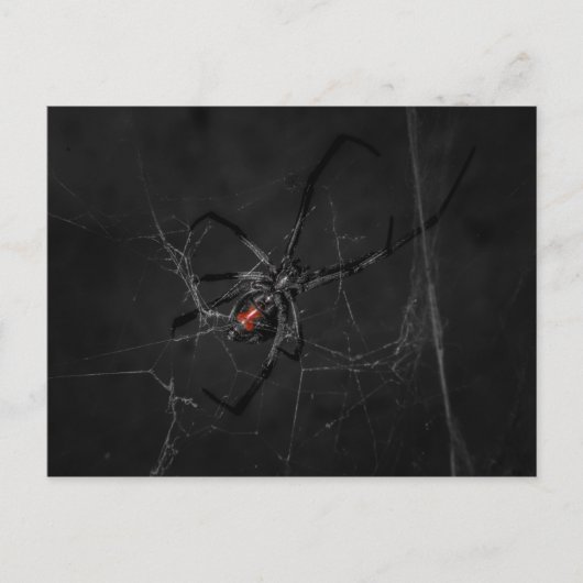 Mrs Black Briefkaart (Voorkant)