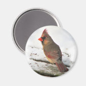 Mrs. Cardinaal Bird Magnet (Voorkant / Achterkant)