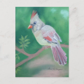 Mrs Cardinaal Briefkaart