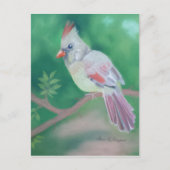 Mrs Cardinaal Briefkaart (Voorkant)