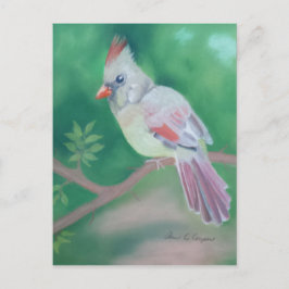 Mrs Cardinaal Briefkaart