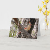 Mrs Cardinal-2004 Kaart (Gele Bloem)