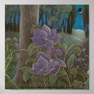 "Mrs Cholmondeley clematis by Moonlight" Poster