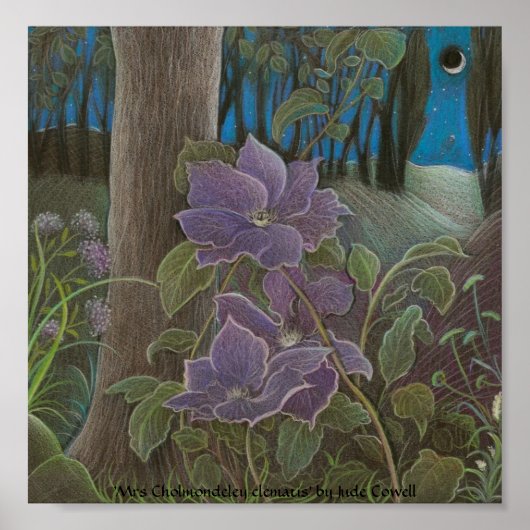 "Mrs Cholmondeley clematis by Moonlight" Poster (Voorkant)