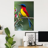 Mrs. Gould's sunbird  Poster (Thuiskantoor)