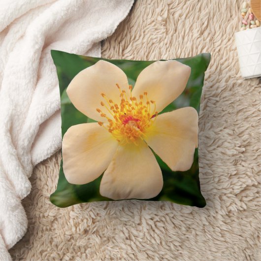 Mrs. Oakley Fisher Roos Kussen (Deken)