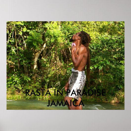 mrsjamrock-p@sbcglobal.net 25, RASTA IN PARADI... Poster (Voorkant)