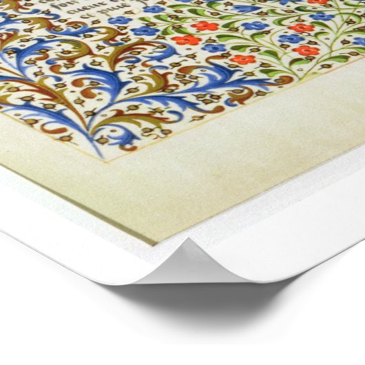 Ms. 2597 Hope haalt hart uit de rivier de Tear Poster (Hoek)