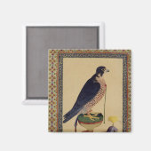 Ms E-14 Falcon, van een Moraqqa Magneet (Voorkant / Achterkant)