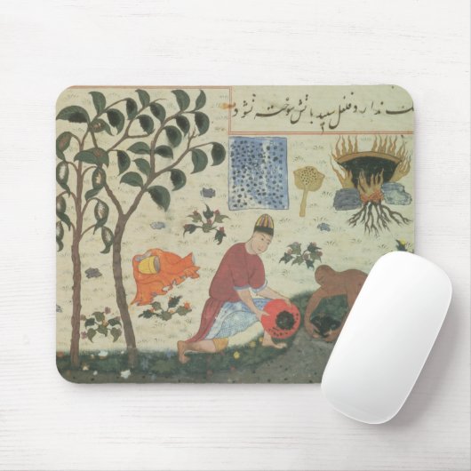 Ms Pers 332 Pepper tree and Preparate pepper Muismat (Met muis)