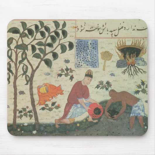 Ms Pers 332 Pepper tree and Preparate pepper Muismat (Voorkant)