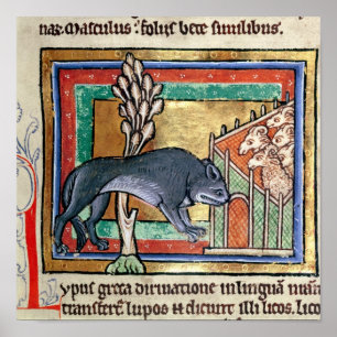 MS Roy A wolf buiten een schaap Poster