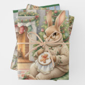 Ms. Stitchy  Inpakpapier Vel (In situ)