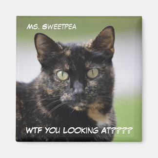 Ms Sweetpea de Tortie Magneet