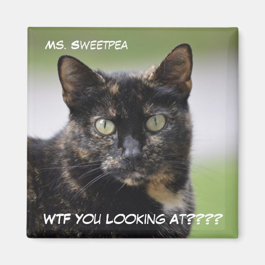 Ms Sweetpea de Tortie Magneet (Voorkant)