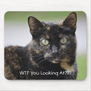 Ms Sweetpea the Tortie Muismat