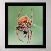 Ms Weaver Poster (Voorkant)