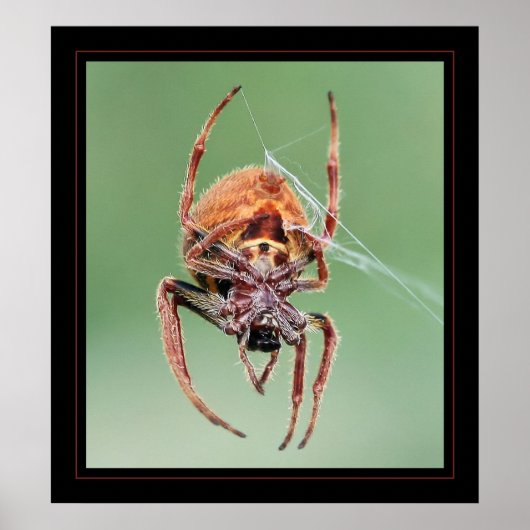 Ms Weaver Poster (Voorkant)