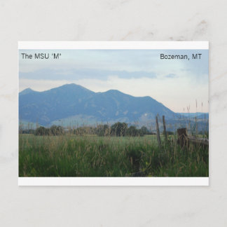 MSU "M"-briefkaart Briefkaart