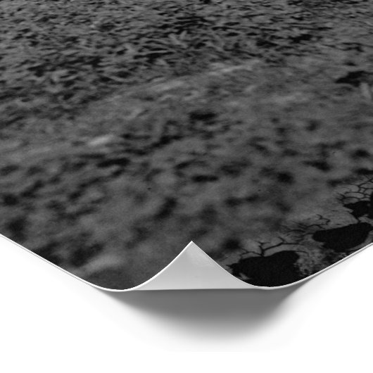 Mt. Adams Inline Poster (Hoek)