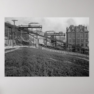 Mt. Adams Inline Poster