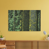 Mt. Ashland, Rogue RIver Nationaal Bos, Canvas Afdruk (Insitu (Woonkamer))