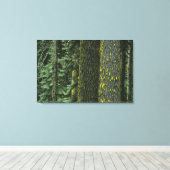 Mt. Ashland, Rogue RIver Nationaal Bos, Canvas Afdruk (Insitu (Houten vloer))